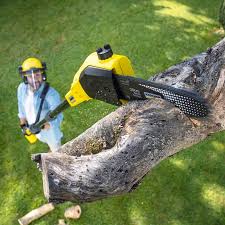 Best Stump Grinding and Removal  in Mcguire Af, NJ