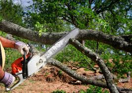 Best Commercial Tree Services  in Mcguire Af, NJ