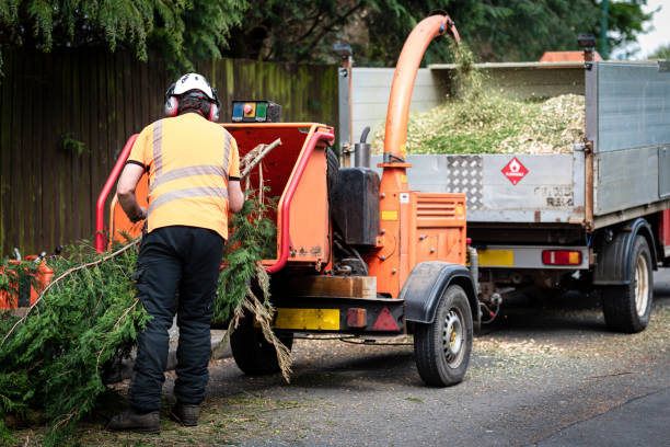 Best Emergency Tree Removal  in Mcguire Af, NJ